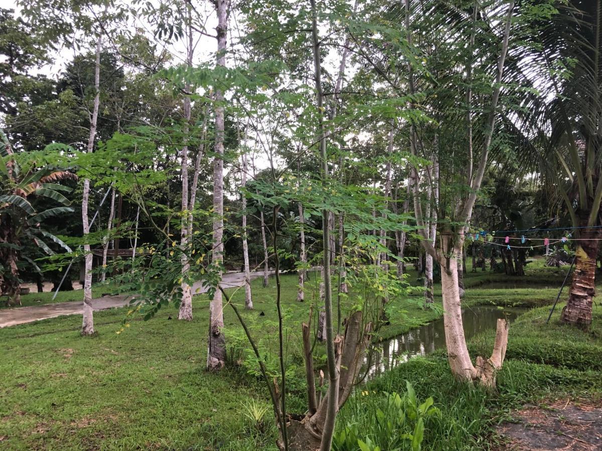 Grace Guesthouse Kota Belud Экстерьер фото